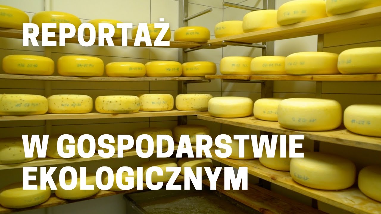 Wyborne sery? Tylko Wańczykówka! Krótki reportaż z udziałem influencerki Sylwii Majcher