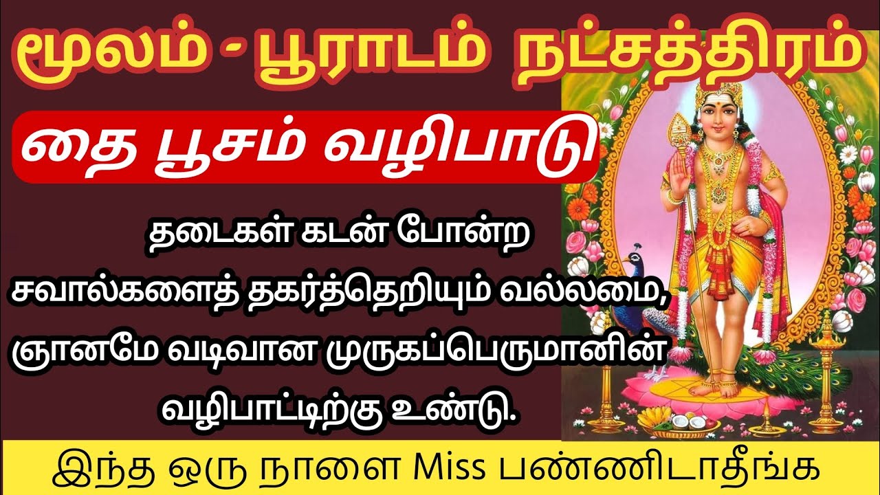 மூலம் , பூராடம் நட்சத்திரம் கட்டாயம் செய்ய வேண்டிய தைப்பூச வழிபாடு | #sagittarius #thai 