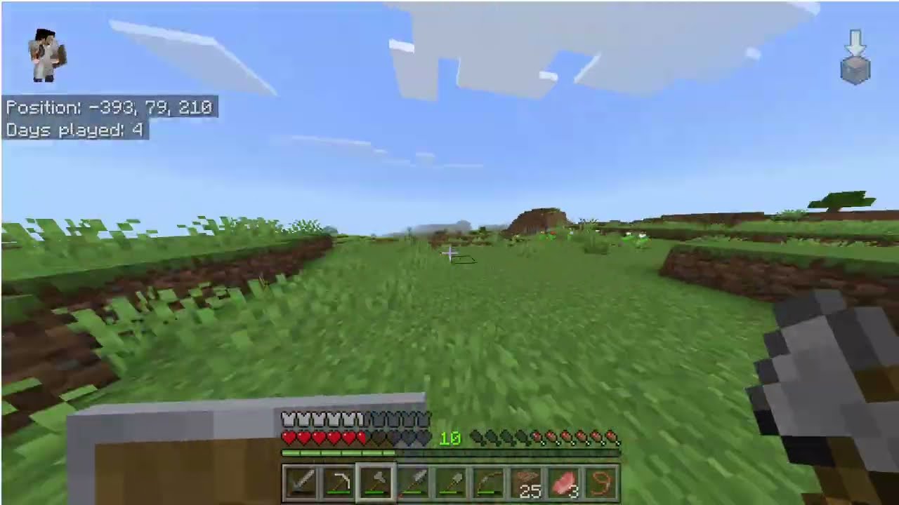 Minecraft Gameplay 4