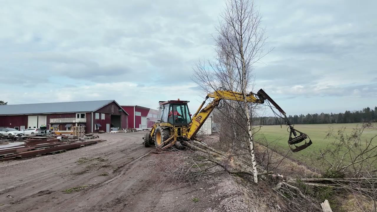Trädfällning visioner och funderingar