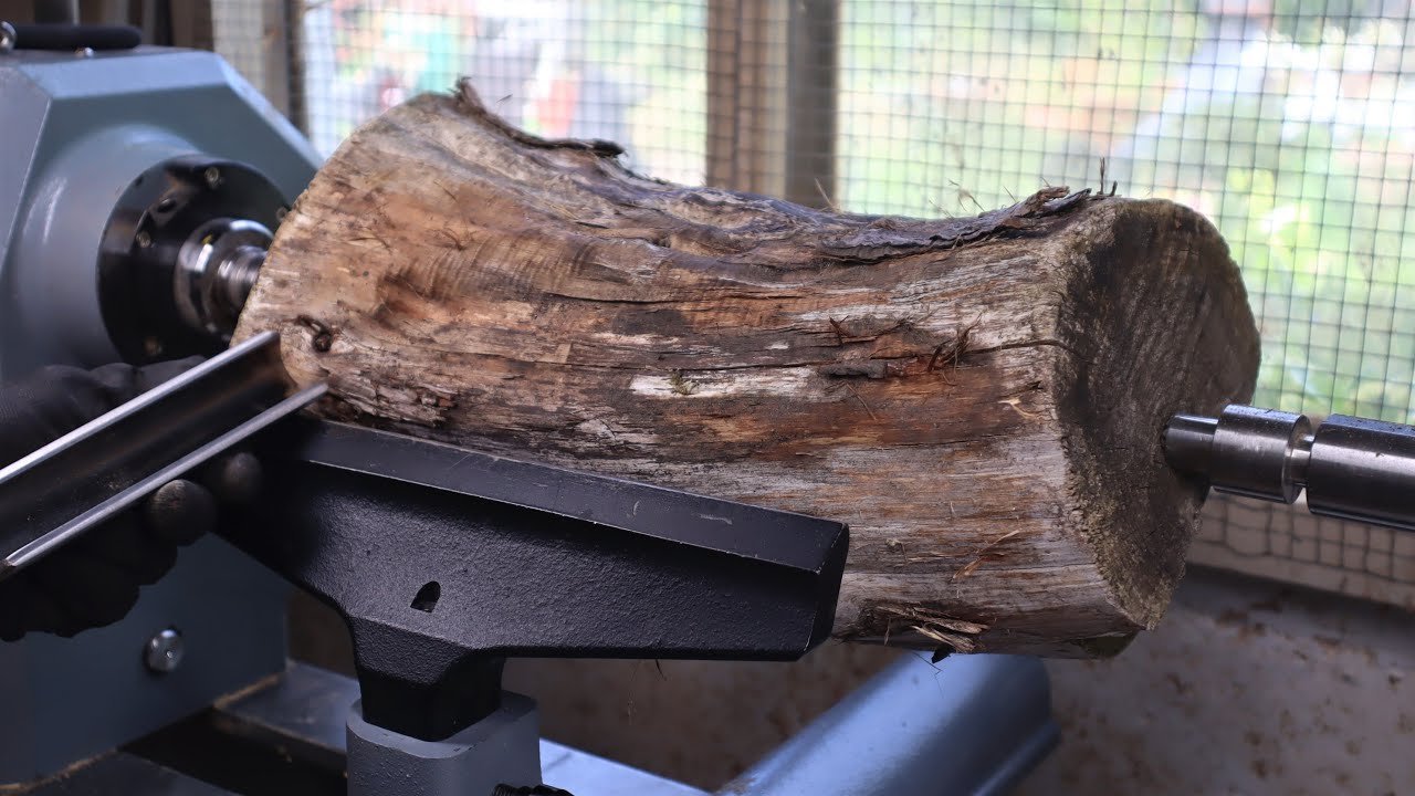 Unique Project from This Cedar Log! 