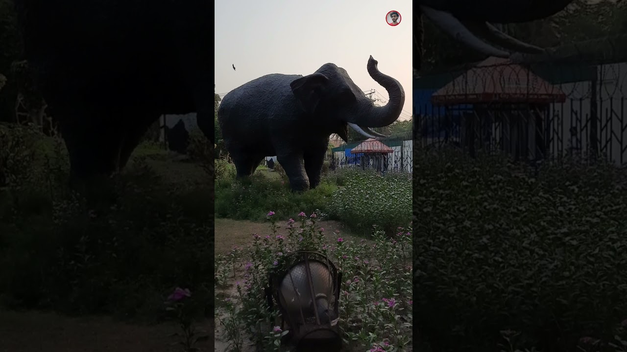 Lahore Zoo || shorts || Pak Vloggers