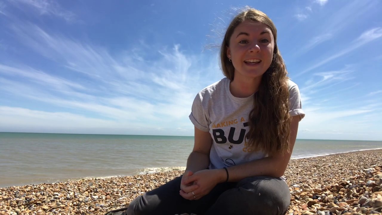 Coastal wildflowers for pollinators with Lauren Kennedy