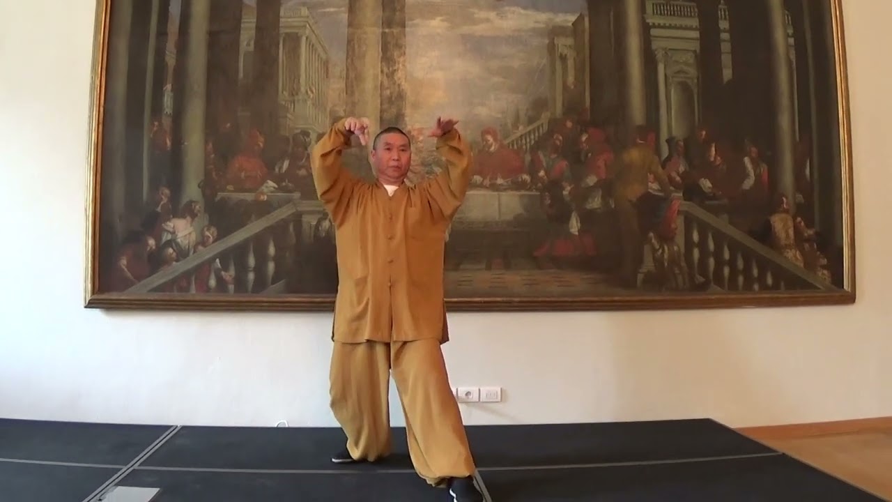 Yangsheng Zhuang Gong Baum&uuml;bungen   Gro&szlig;meister Shi Yong Dao