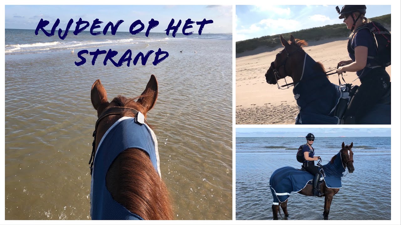 Paardrijden op het strand , go pro