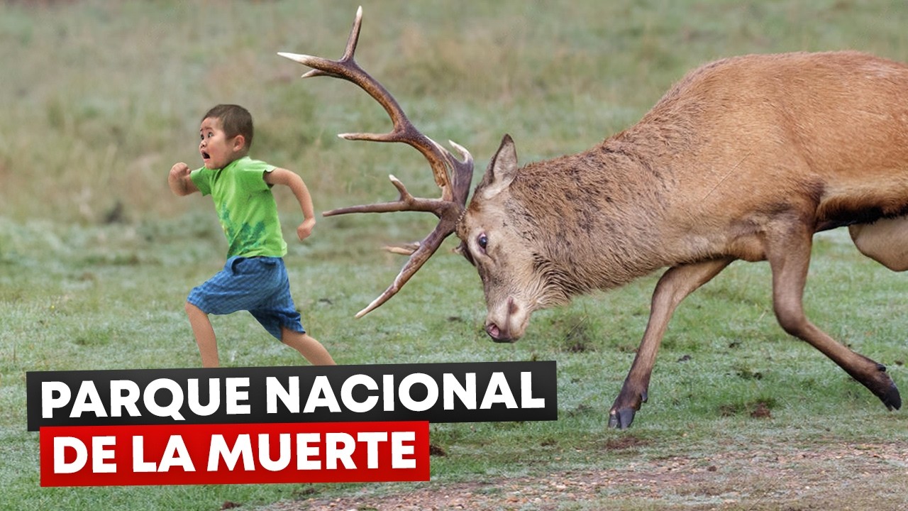 10 Tragedias Extrañas en el Parque Nacional Yosemite