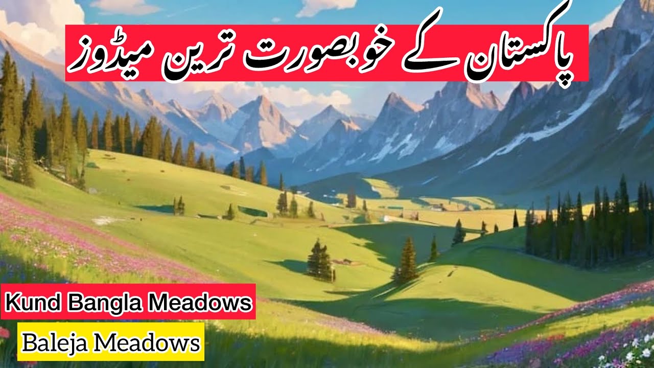 Beautiful Meadows Of Mansehra | Hazara | Baleja Meadows | Kund Bangla Meadows