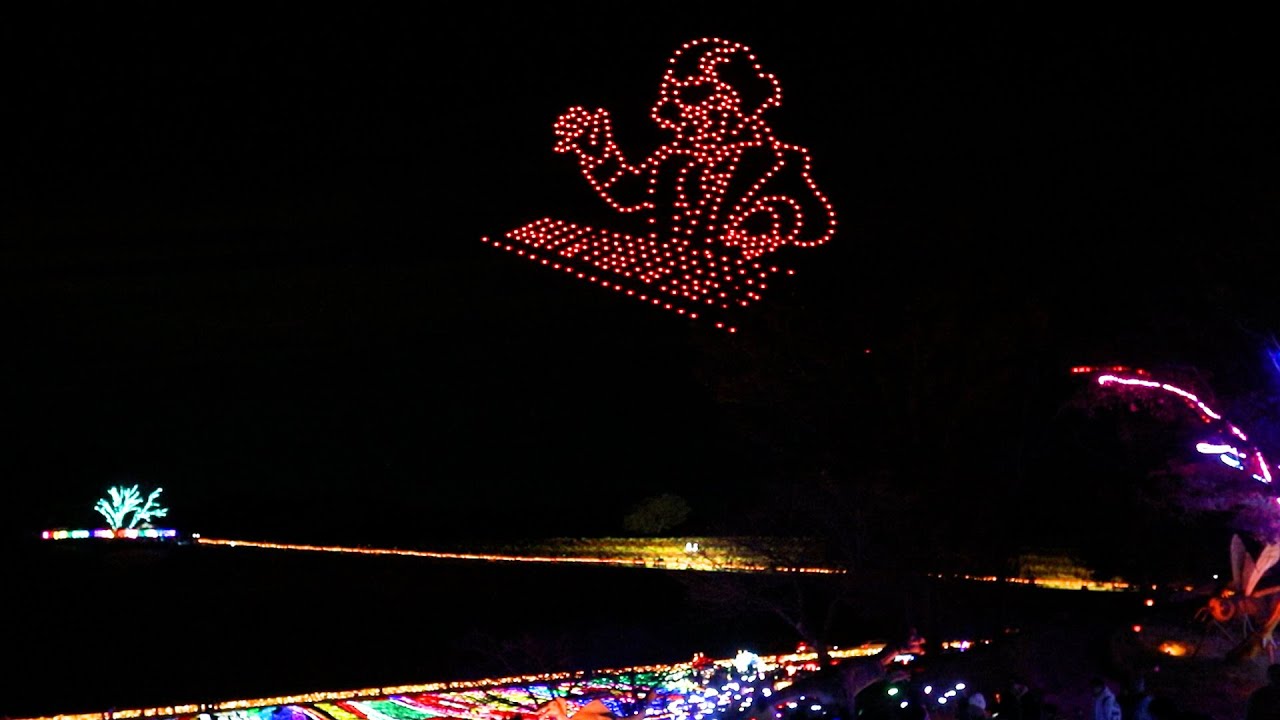 冬の夜空に輝くドローンショー