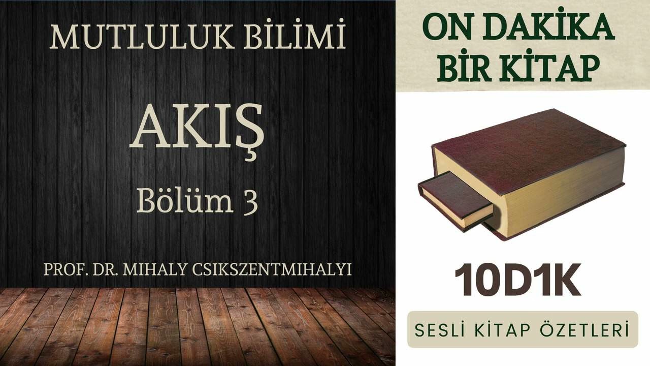 Akış - Mutluluk Bilimi - Sesli Kitap Özeti - 3. Bölüm