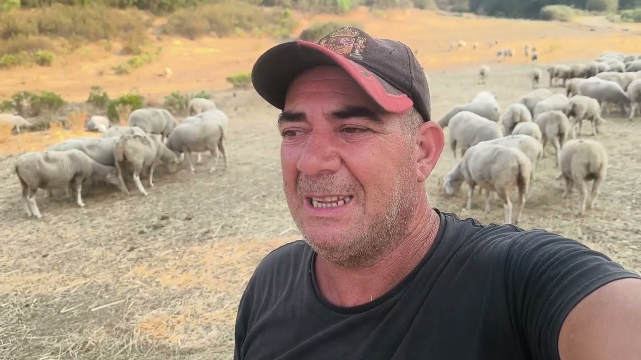 Cada vez más acorralados en el campo
