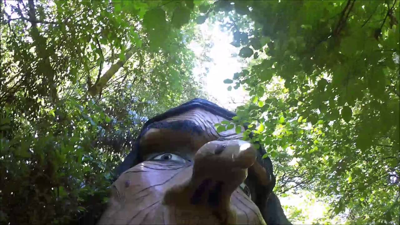 Enchanted Forest Visit