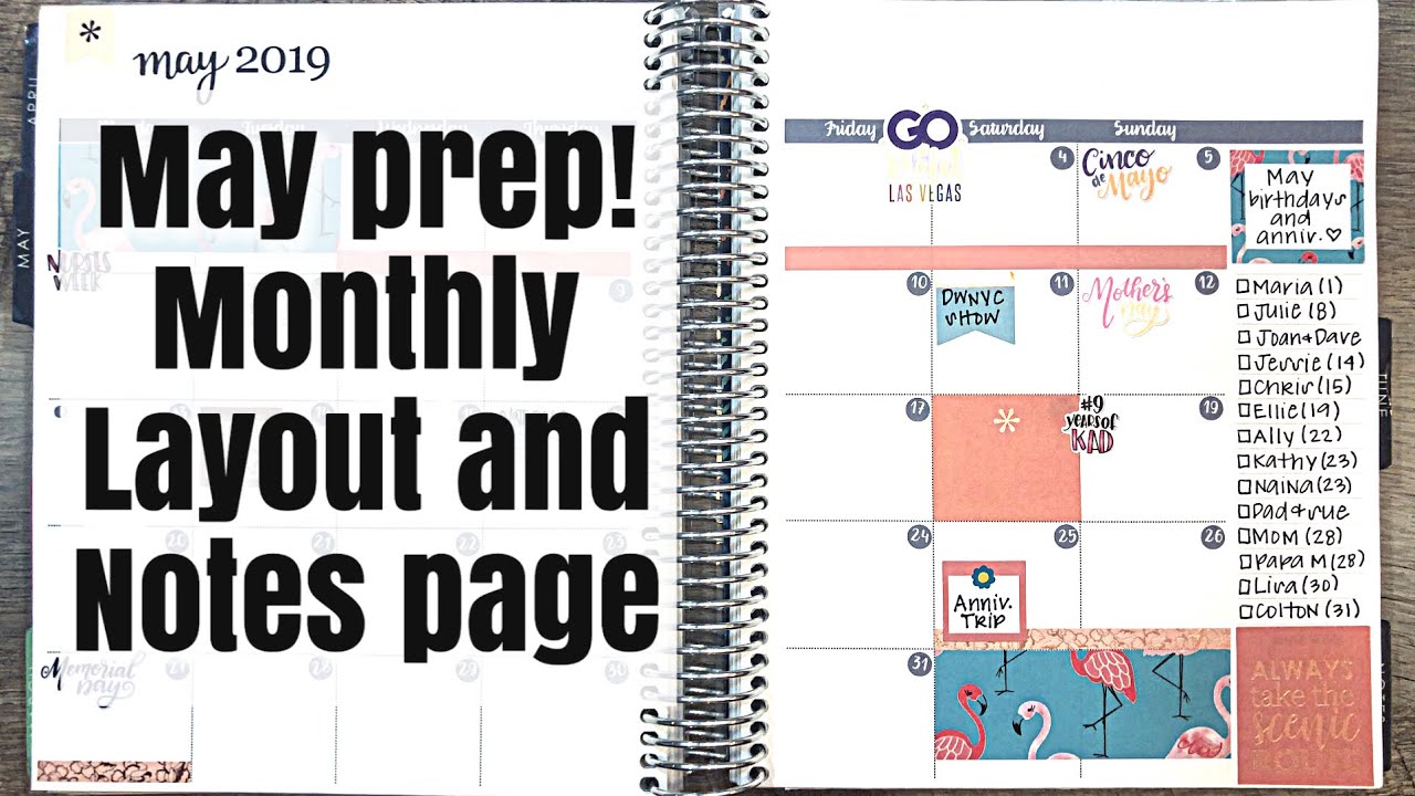 Plan With Me | Erin Condren | Monthly & Weekly Layout