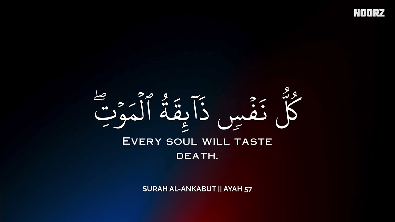 رح سمعك وقلبك بالقرآن❤️🎧 وأستمع لتلاوة هادئه بصوت محمد هشام | راحة نفسية😌 | Mohamed Hesham