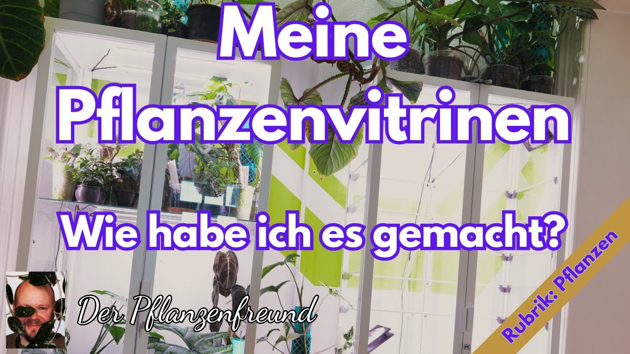 Meine Pflanzenvitrinen