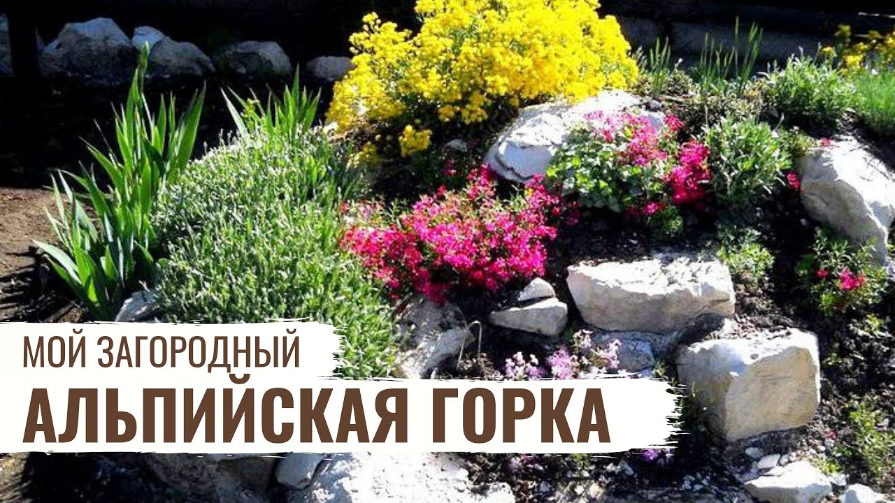 Альпийская горка / Мой загородный