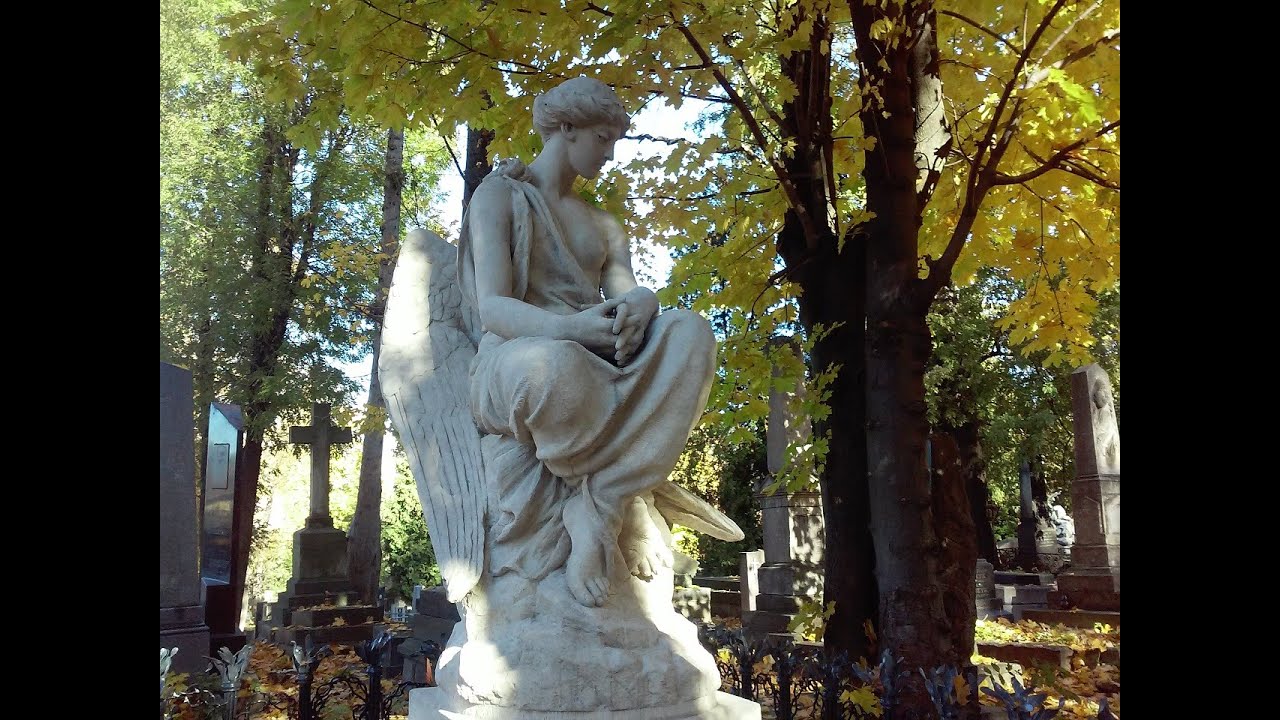 Личаківський цвинтар. Львів. Жовтневий падолист... / Lychakiv cemetery. Lviv.
