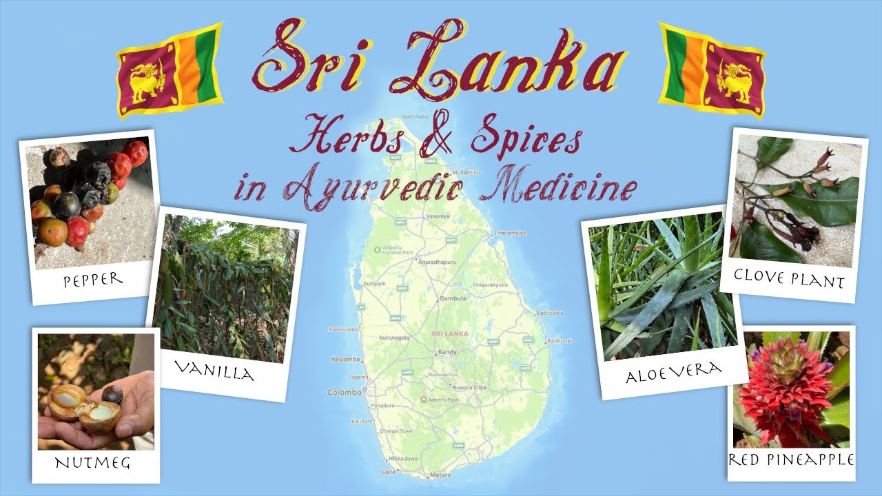Sri Lanka Herbs and Spices in Ayurvedic Medicine