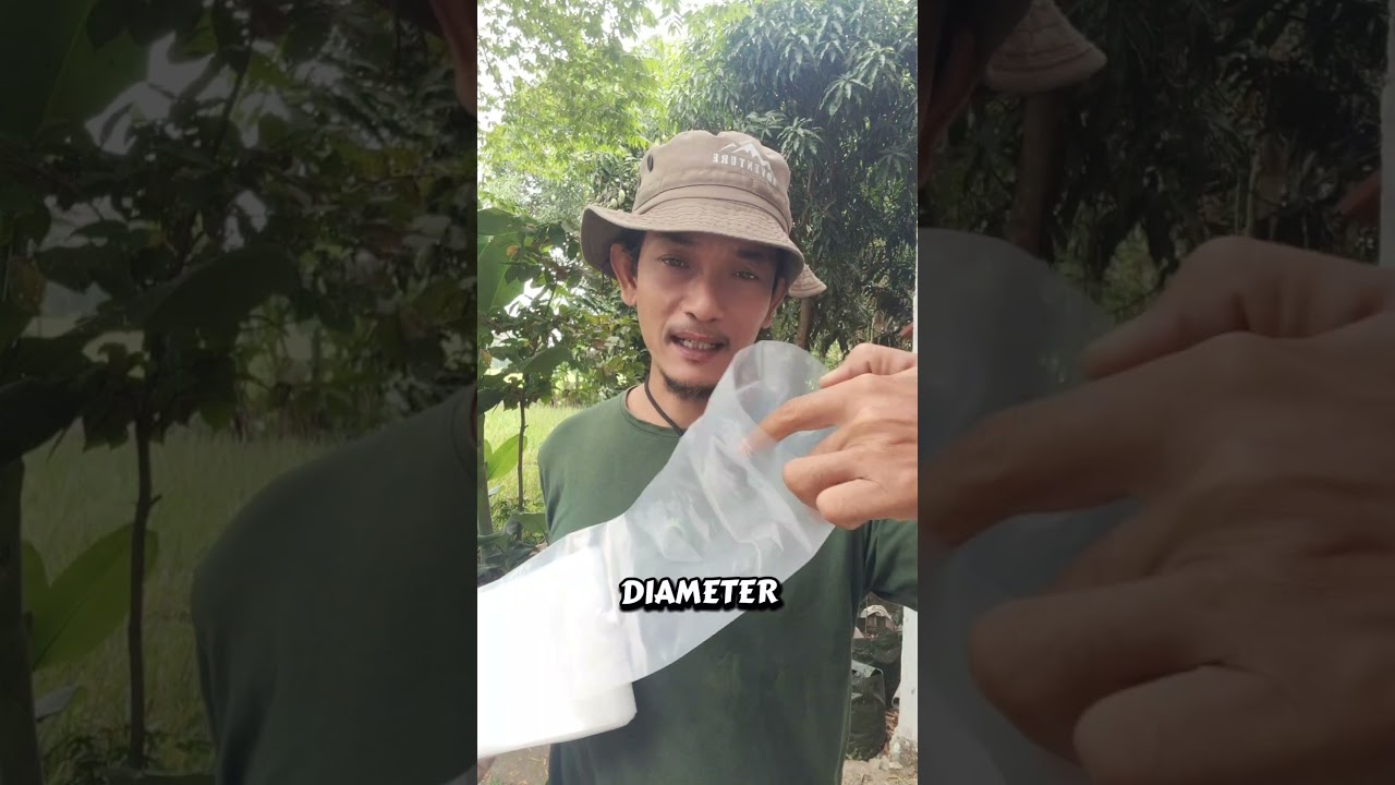 Selang irigasi Sawah pertanian