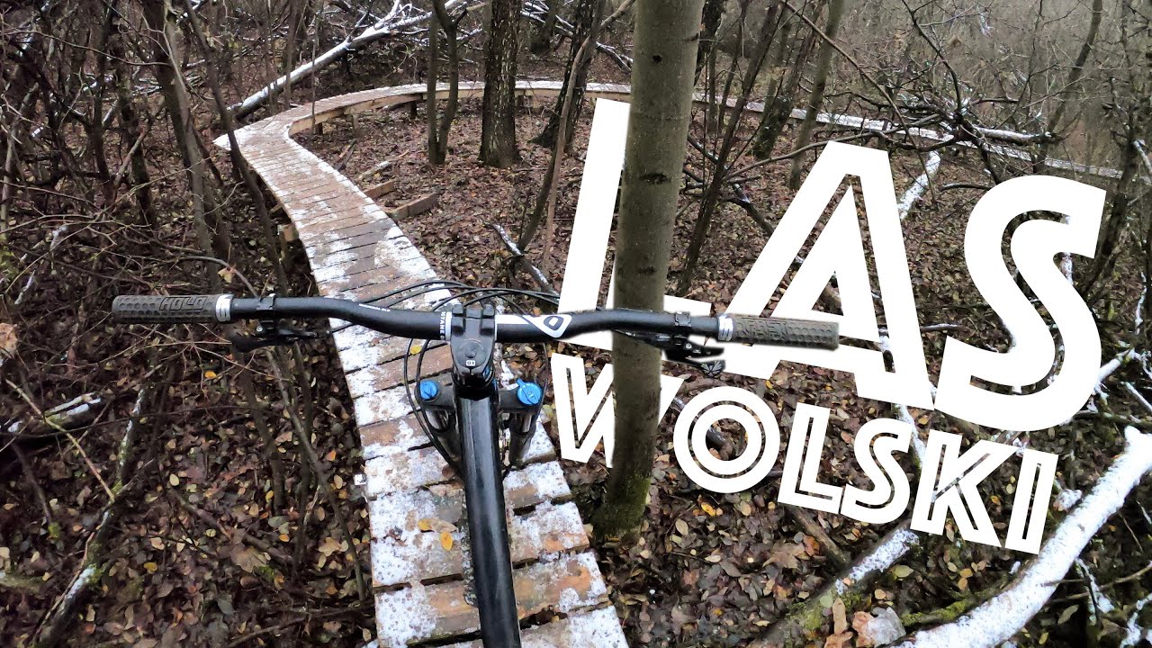 ZNALEŹLIŚMY NORTH SHORE W ŚRODKU LASU!