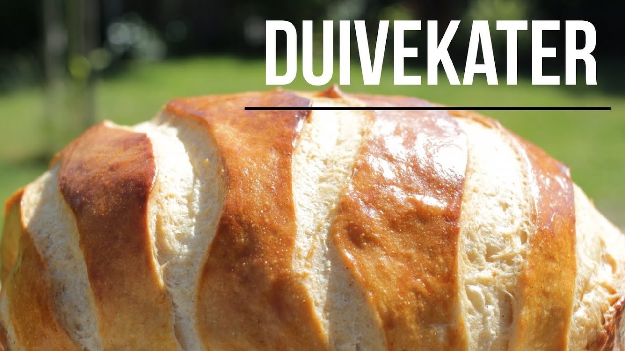 Duivekater Recept