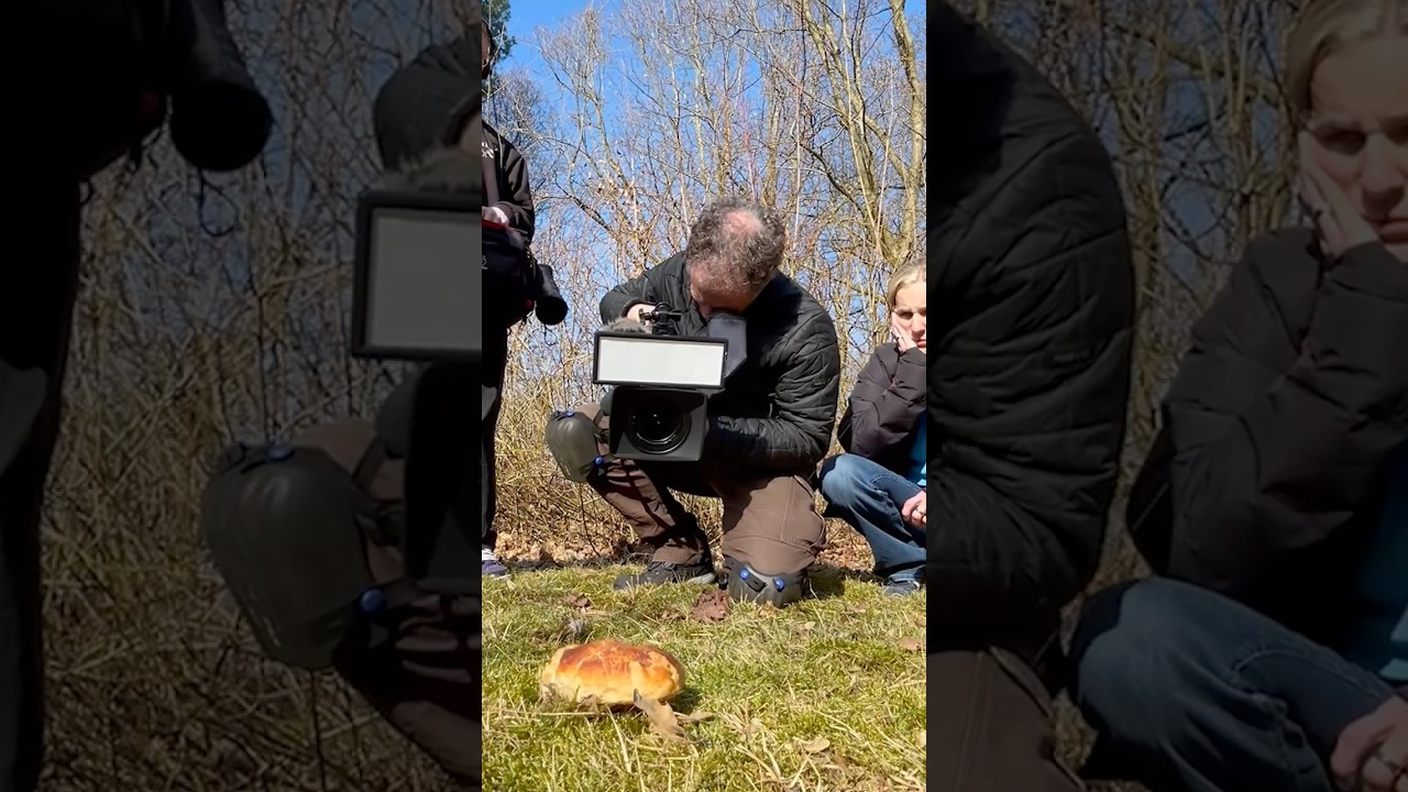 Das sibirische Springbr&ouml;tchen - NDR Fernsehteam filmt Dreharbeiten #springbr&ouml;tchen #sibirien #ndr