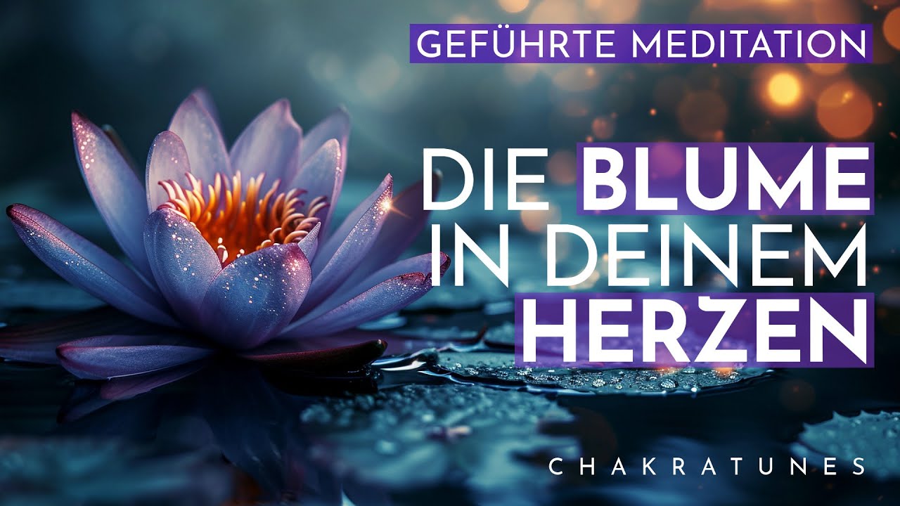 Finde Frieden & Liebe in Dir: Gef&uuml;hrte Meditation