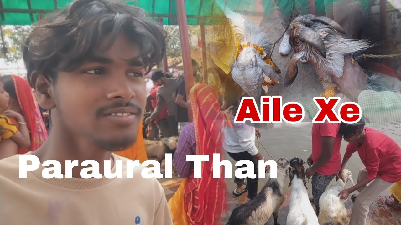 Paraural Than Aile Xe