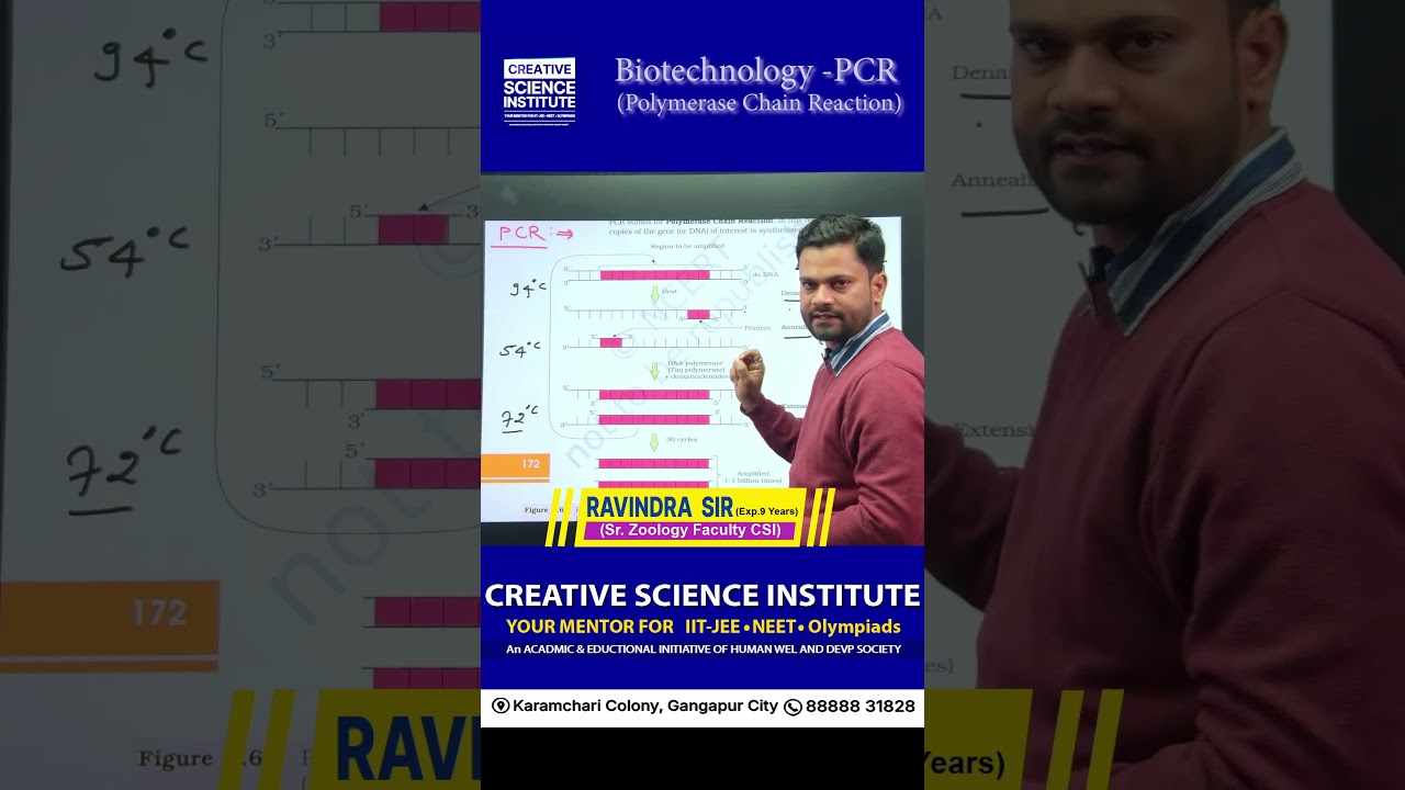 🧬Polymerase Chain Reaction (PCR)A Revolutionary Tool in Biotechnology 