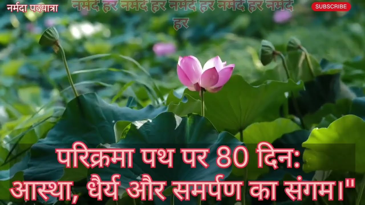 The 80th Day of the Narmada Parikrama