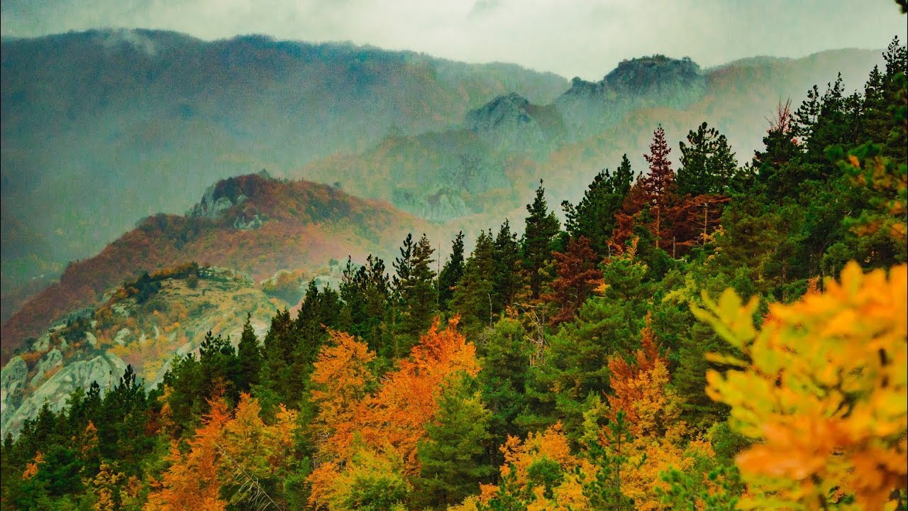 Lost in the FOREST | Belintash & Cross Forest - Explore Bulgaria | a travel film
