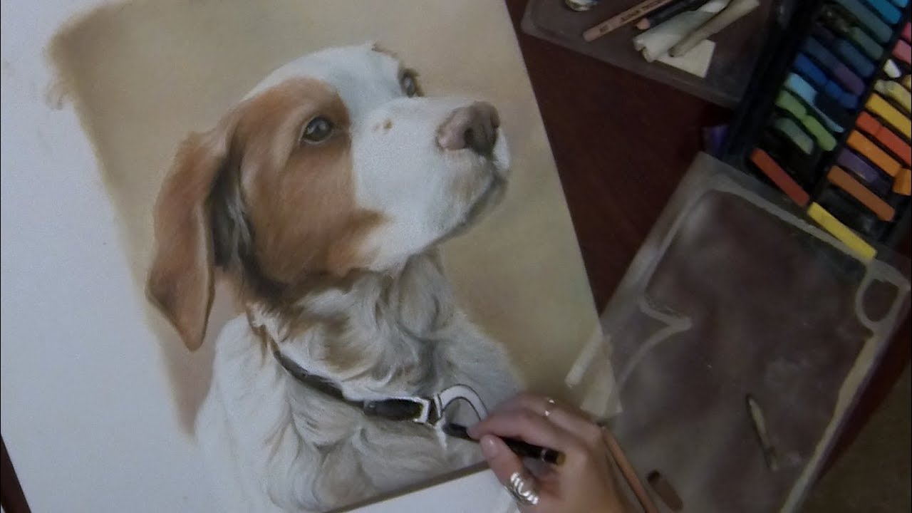 Pastel Dog Portrait- Timelapse Speed Painting