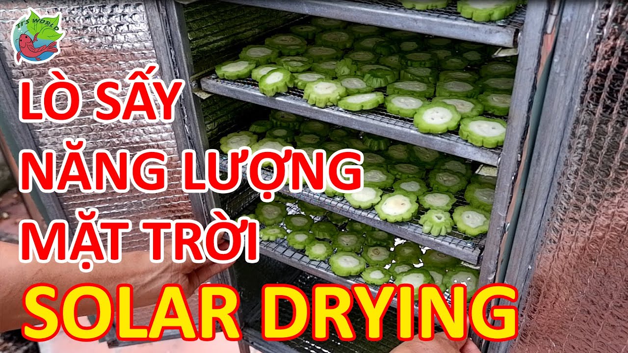 Làm Lò Sấy Nông Sản, Trái Cây Bằng Năng Lượng Mặt Trời | Making a Solar Food Dehydrator