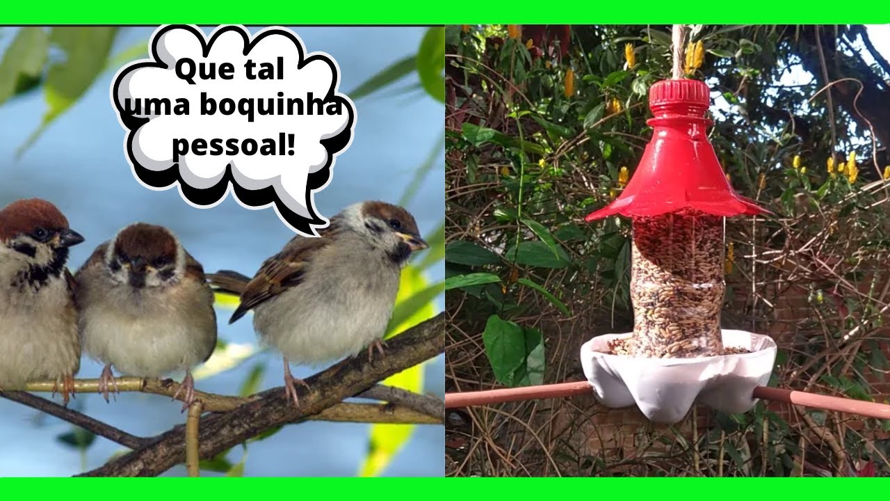 🐦COMEDOURO PARA PÁSSAROS  🐦 feito de garrafa pet