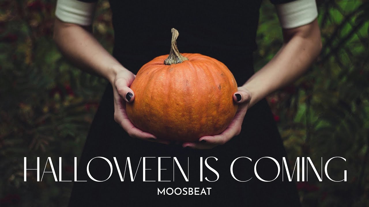 Halloween Is Coming! l Royalty Free Music l MoosBeat