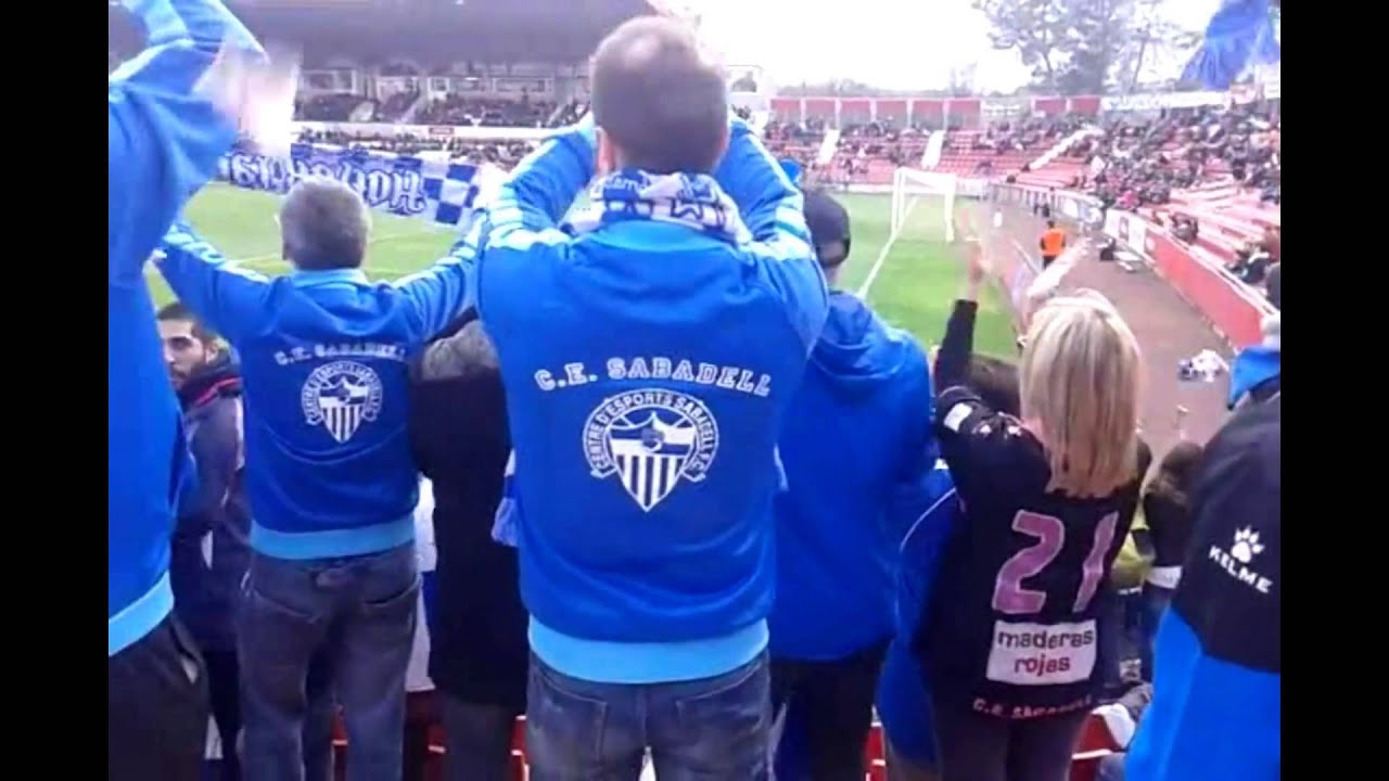 Honor 1903