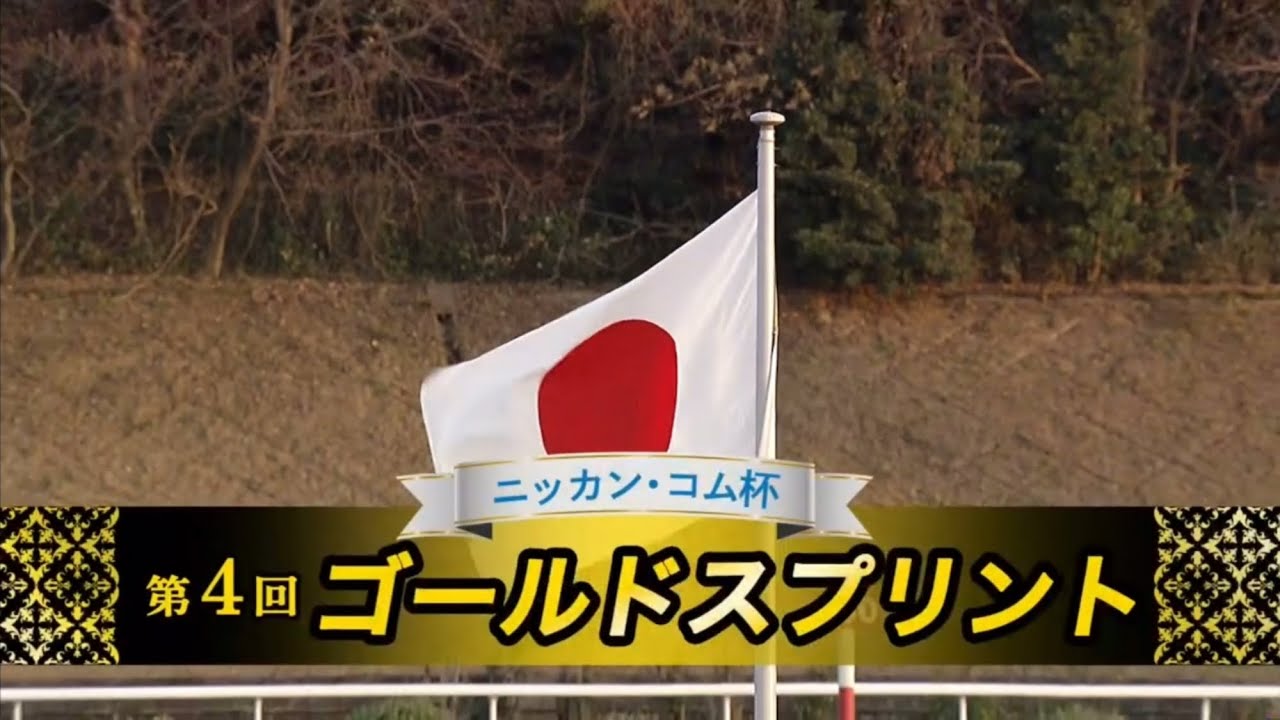 【第4回 ゴールドスプリント (重賞)】 2025 1/12 佐賀競馬場