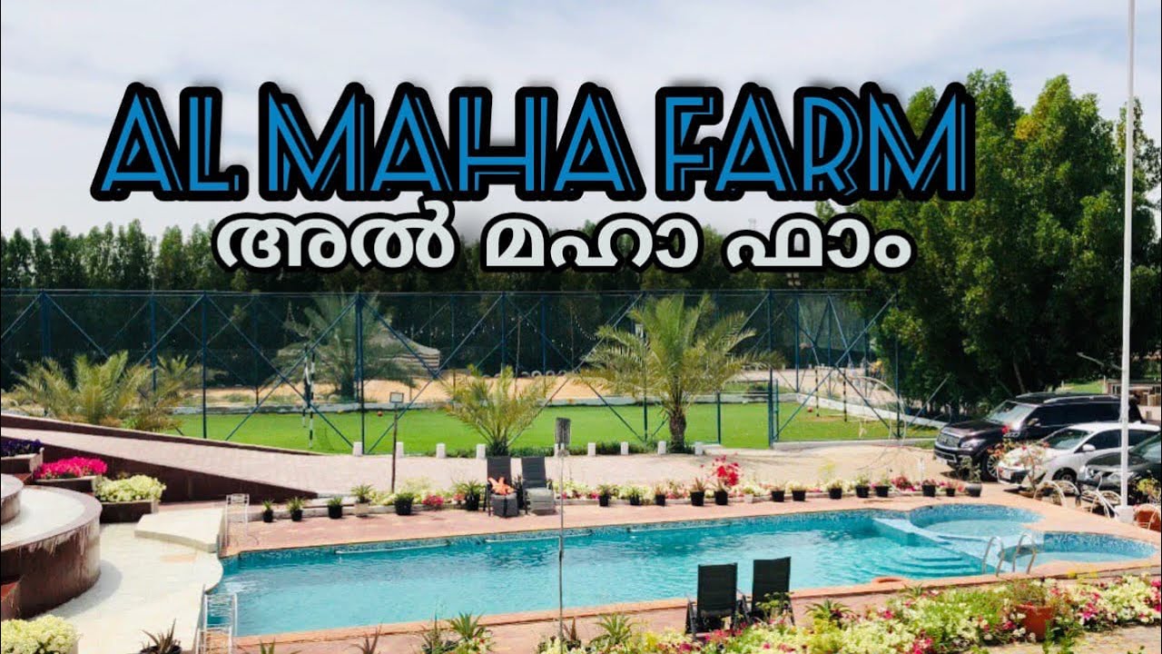 Al Maha Farm Sharjah, United Arab Emirates. Camping Farm In Sharjah, Al Maha Farm in Ajman, Trending