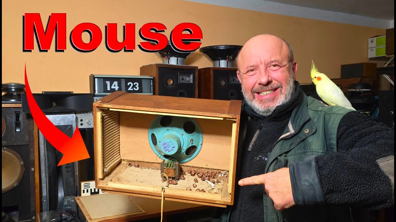 MOUSE NEST in the 50s Vintage Cable Radio SPEAKER BOX - TESLA 2AN 638 26 - FULLRANGE 2AN 633 50