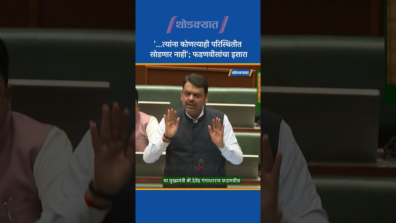 '...त्यांना कोणत्याही परिस्थितीत सोडणार नाही'; फडणवीसांचा इशारा | Vidhan Sabha | Devendra Fadanvis