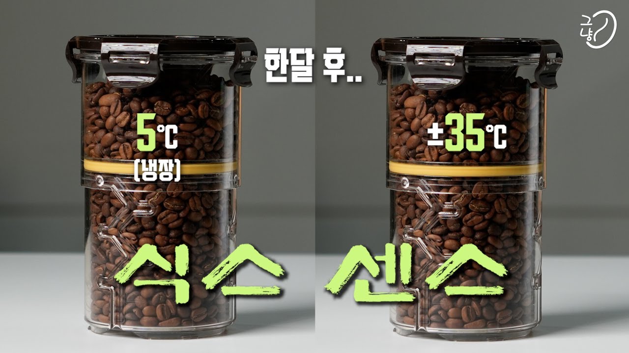 30도 이상 온도에 방치된 원두, 먹어도 될까? (구독자 의뢰)