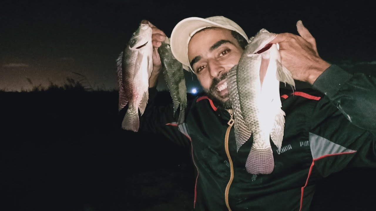 مباشر سمك كبير كبير  بالغله من ابيس وشوف سر طريقه