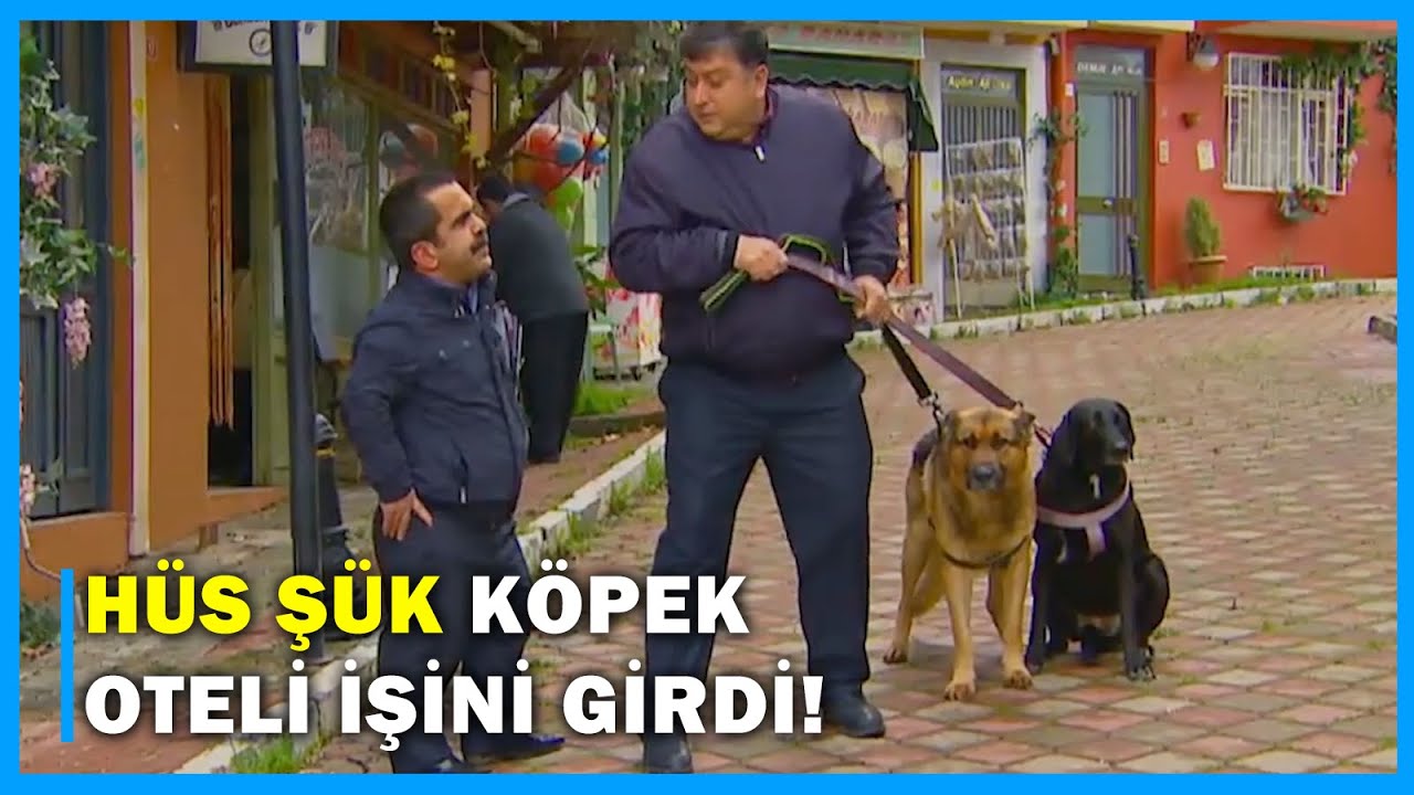 Hüs Şük Köpek Oteli İşini Girdi! - Çocuklar Duymasın 66.Bölüm