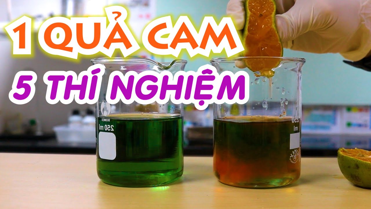 5 THÍ NGHIỆM THÚ VỊ chỉ với một quả CAM | Mr.Skeleton Thí Nghiệm