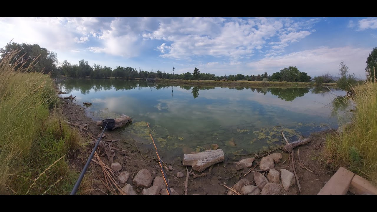 2025 08 22 Stonehouse - New Pole-Caught Common Carp Personal Best
