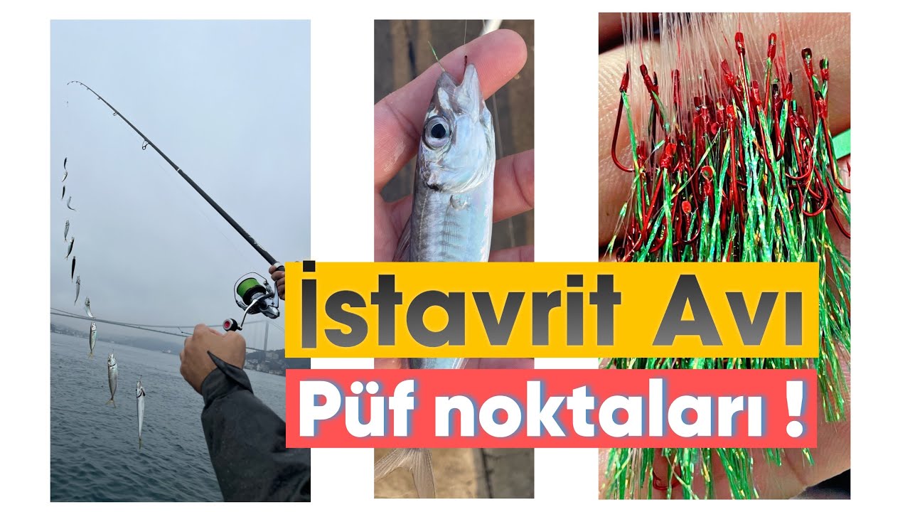 Çapari ile İstavrit Avı NASIL YAPILIR ? ( Uygulamalı Anlatım )