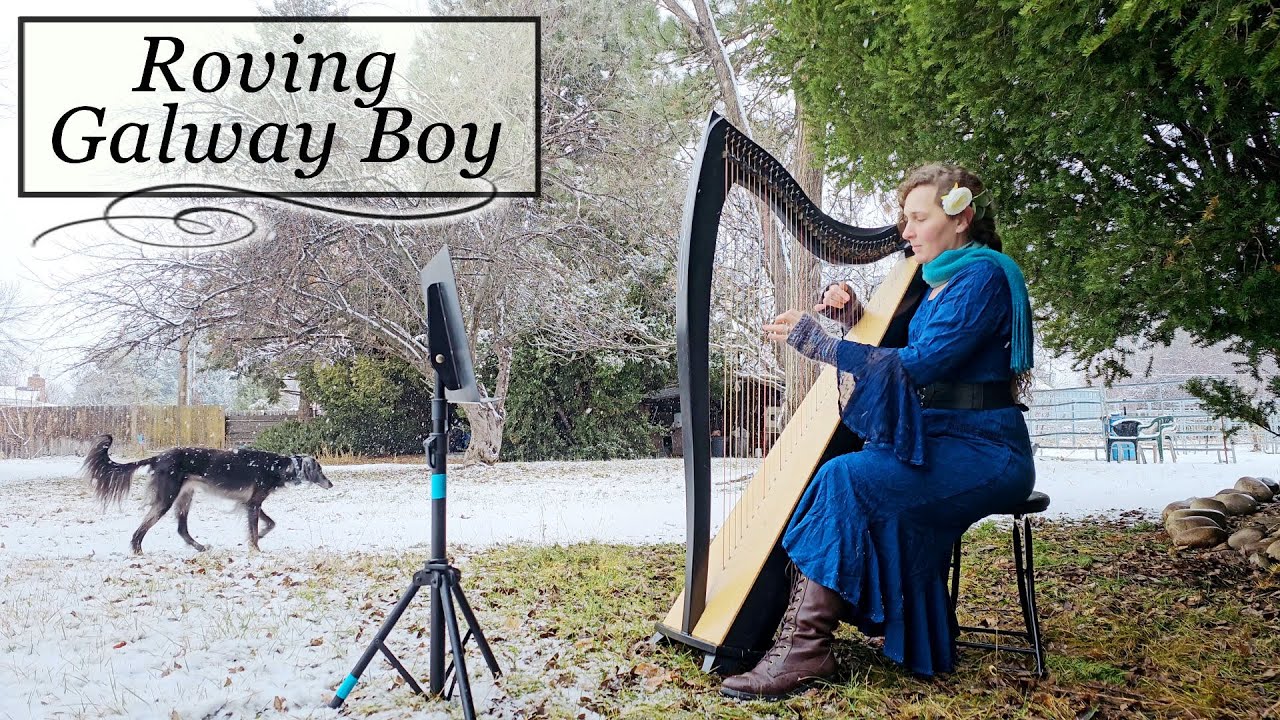 Roving Galway Boy - Irish Harp for... Dogs?