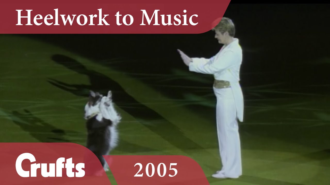Heelwork To Music - Mary Ray's 2005 Performance | Crufts Dog Show