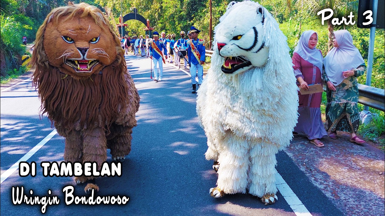 KIRAB CAN MACANAN DAN DRUMBAND SINGO MANGGALA DI TAMBELAN BRINGIN BONDOWOSO PART3.mp4