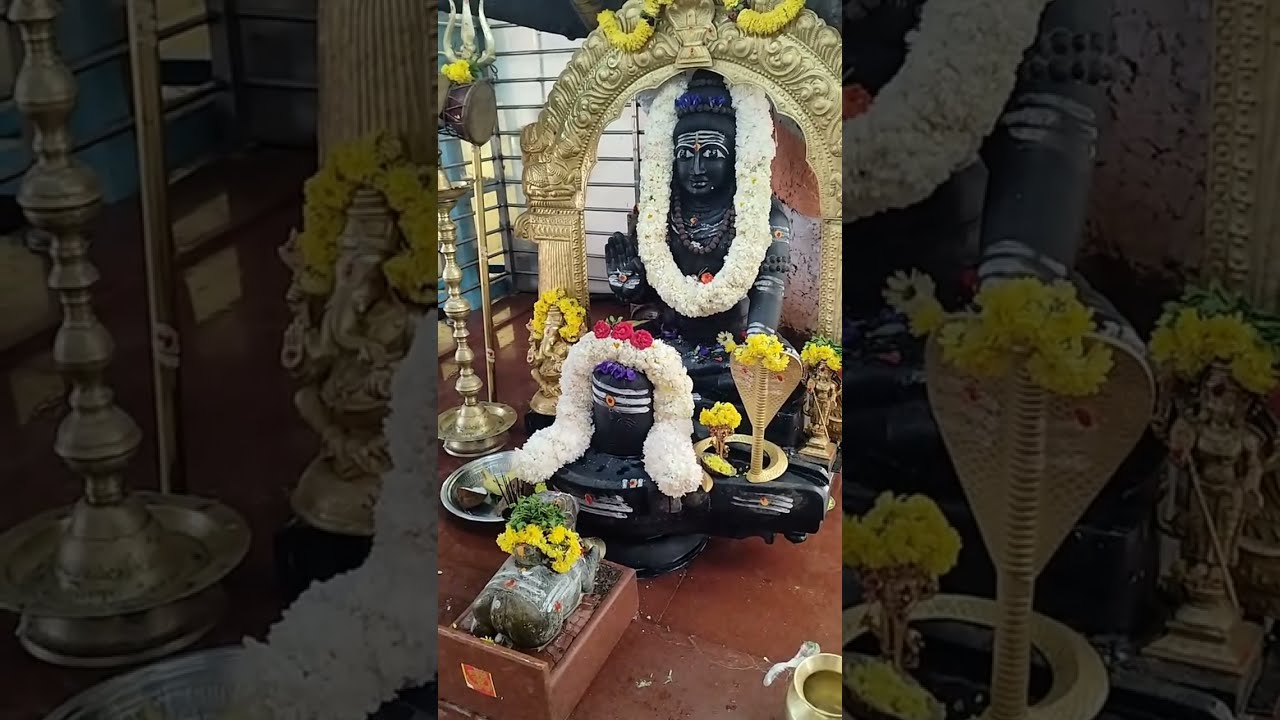 Sri Naga Lingeshwara Swamy Rudra Abhishekam Live Puja 🕉  🙏✨ | Maha Mangala Aarti 🙏✨#shiva #mahadev