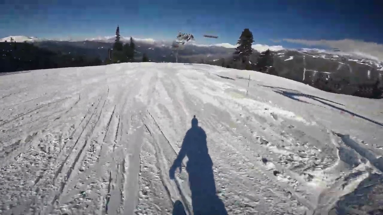 Whistler ski